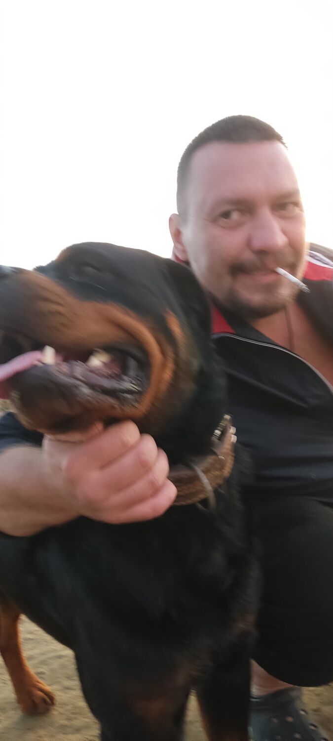 ���������� �������, ���� ������� �������, 43 ����, ������������ 