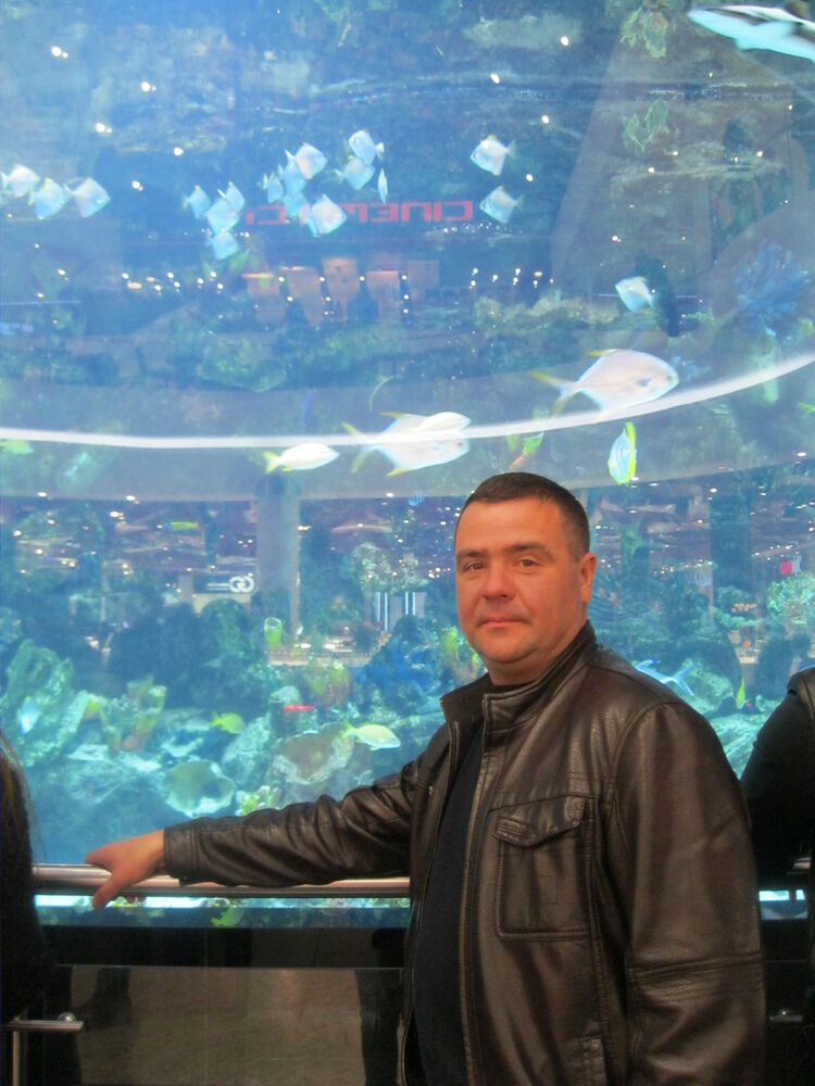 ���������� ����, ���� ������� Teodor, 54 ����, ������������ ��� ������, ����� � ���������, c�������� ���������