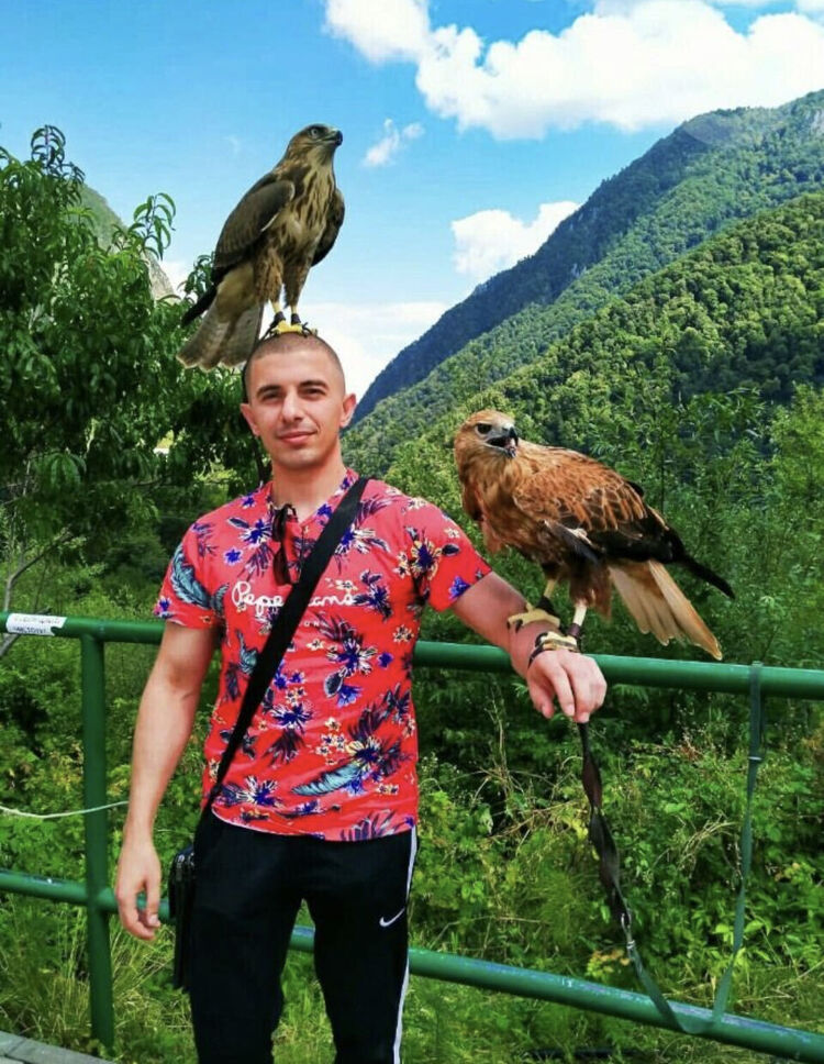 ���������� ���������, ���� ������� �������, 31 ���, ������������ ��� ������, ����� � ���������, c�������� ���������, ���������