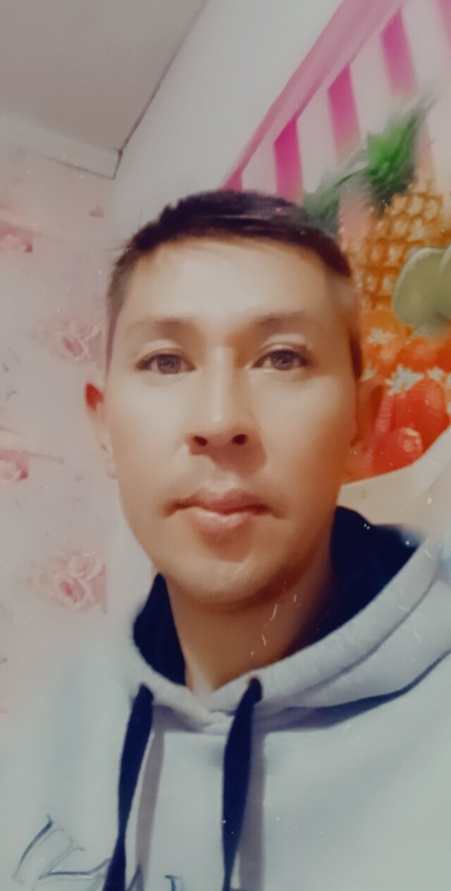 ���� 24746802 ������� Berik, 38 ���, ���� ���������� � ������