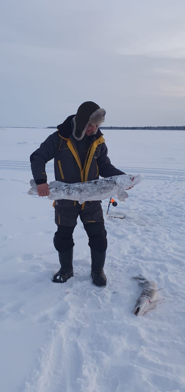 ���� 31622892 ������� �������, 34 ����, ���� ���������� � ��������