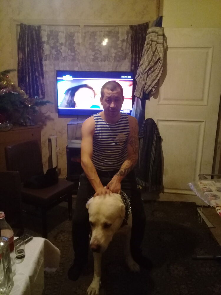 ���� 11987182 ������� ����, 43 ����, ���� ���������� � ����-����������