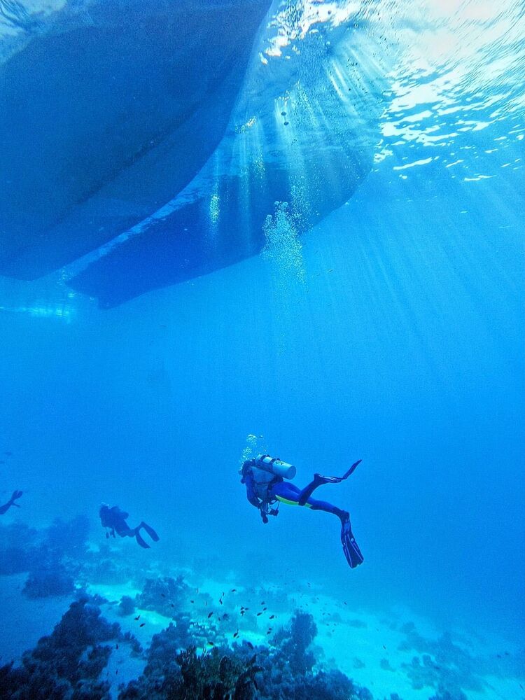 ���������� ������, ���� ������� �������, 28 ���, ������������ ��� ������, ����� � ���������