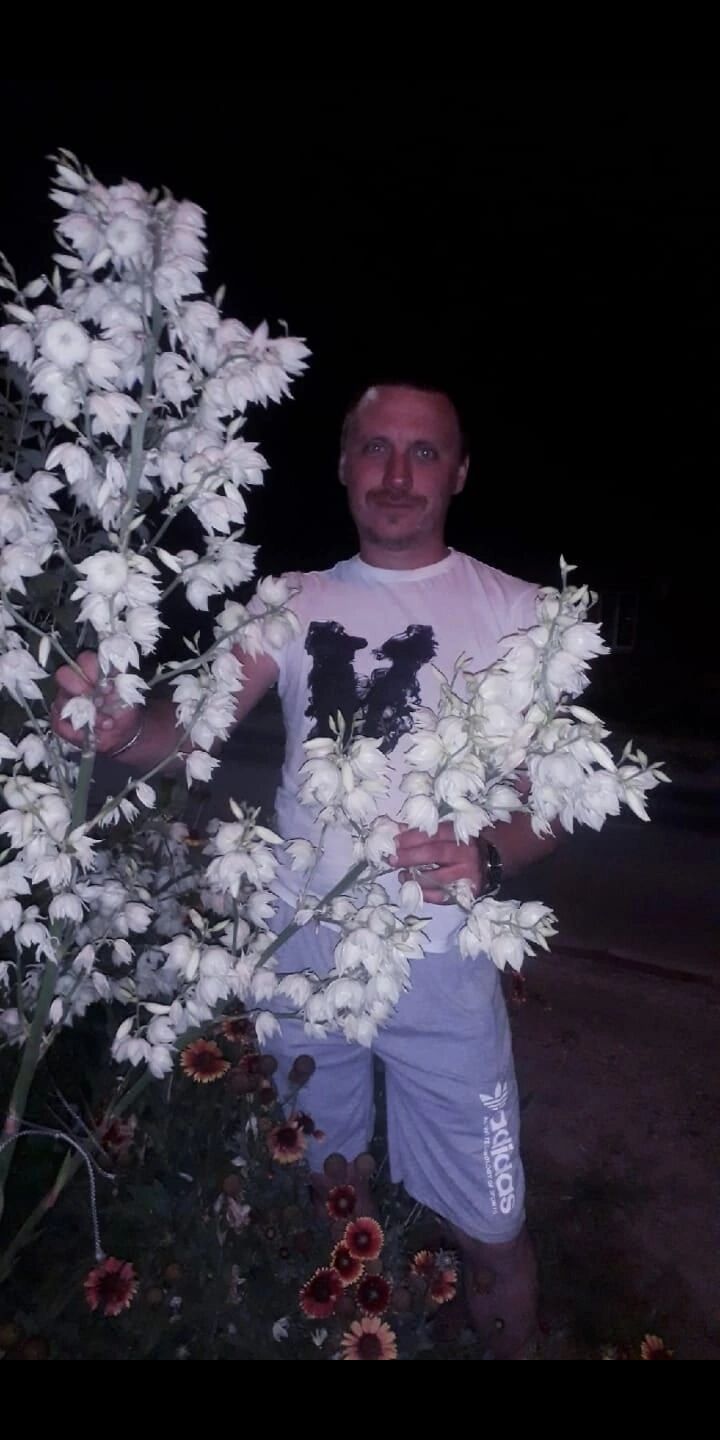  --,   , 36 ,     , c 