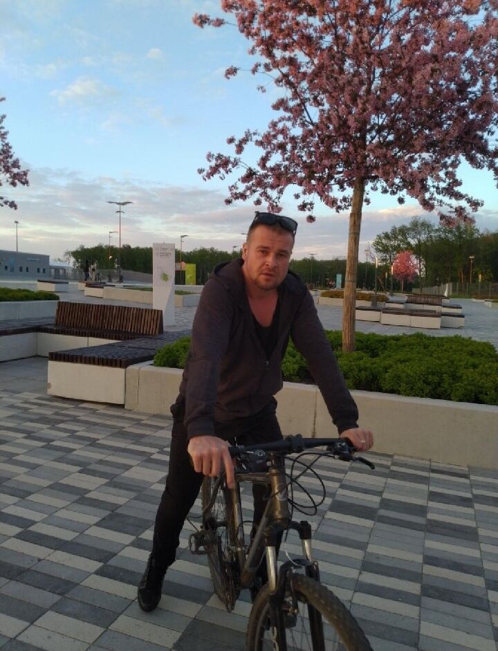  40573702  , 41 ,    -