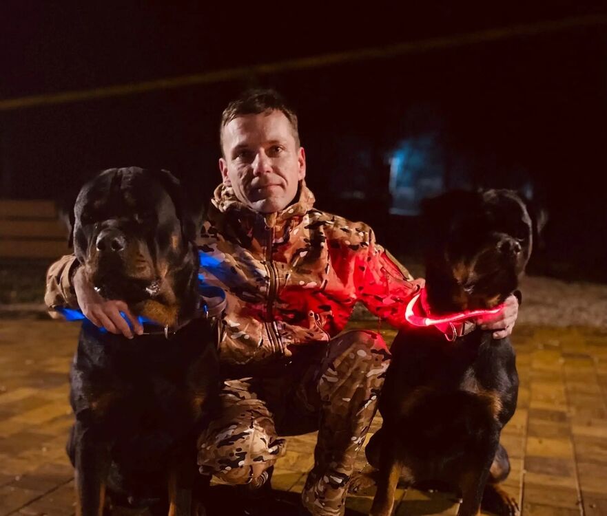  33498712  Dima, 39 ,    