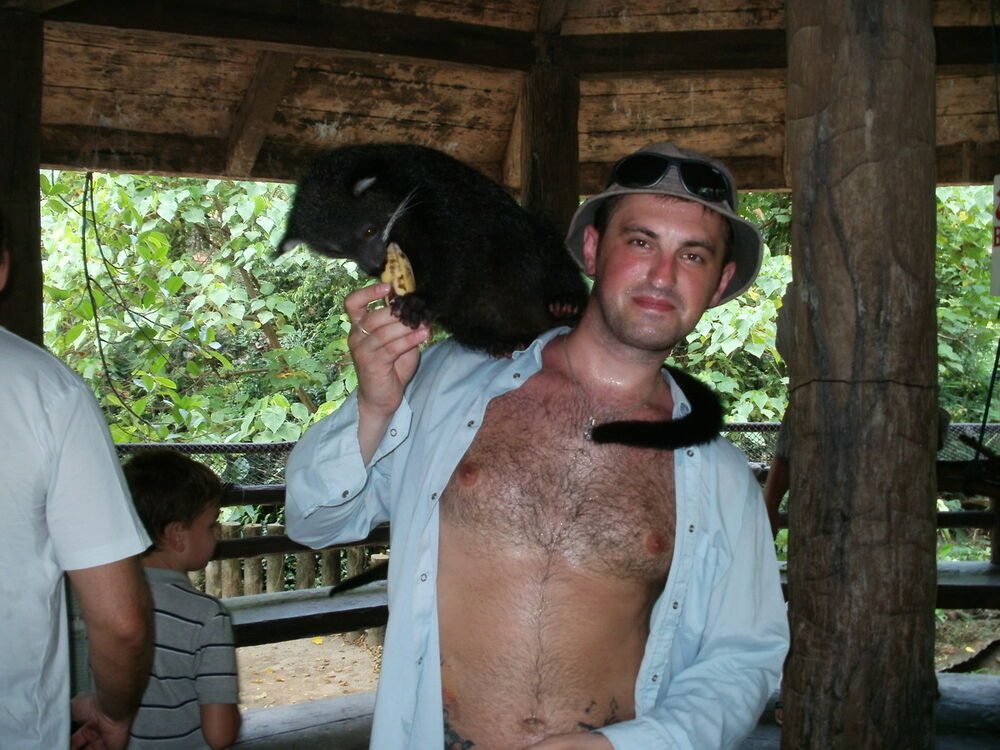 ���������� ������, ���� ������� ������, 42 ����, ������������ ��� ����� � ���������, c�������� ���������