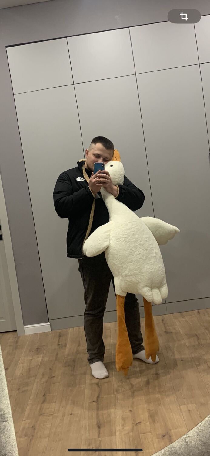 ���� 40647392 ������� ����, 29 ���, ���� ���������� � ���������