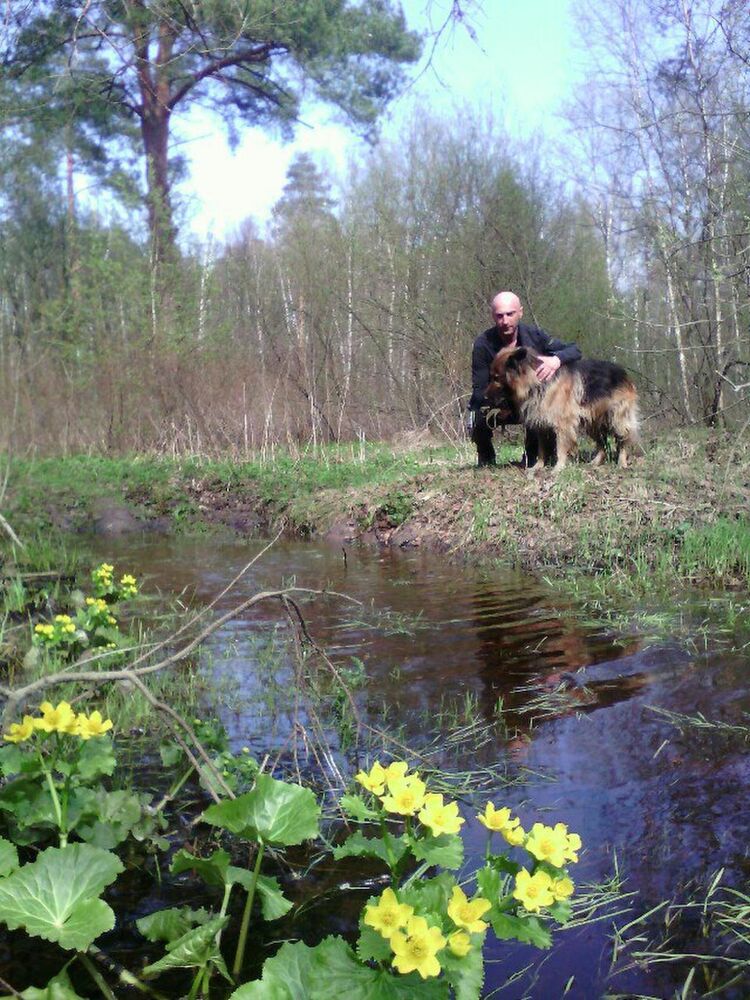 ���������� �������, ���� ������� �������, 40 ���, ������������ ��� ������, ����� � ���������