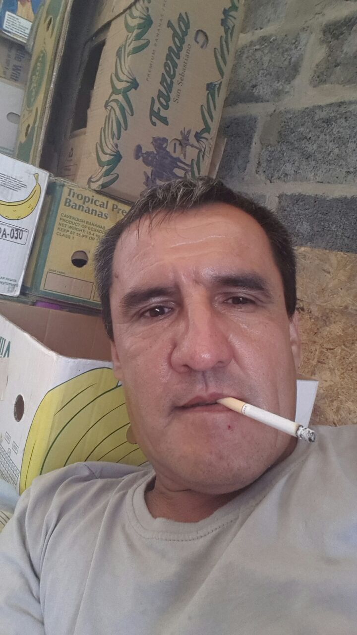  31538182  , 48 ,    