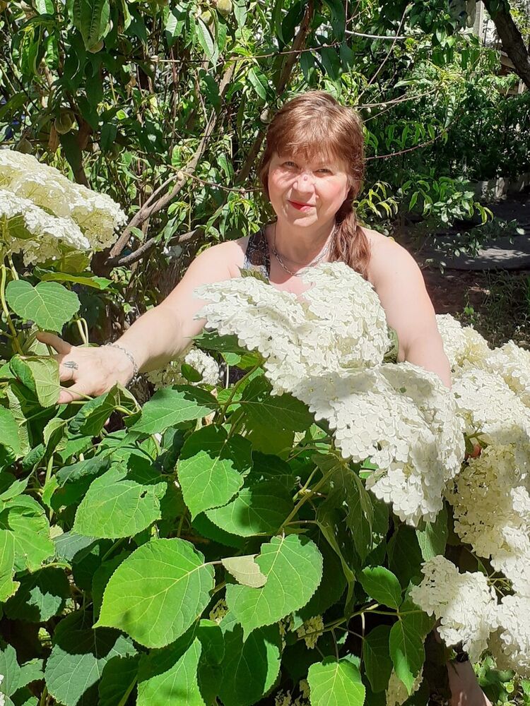 ���� 20188412 ������� ����, 42 ����, ���� ���������� � ������