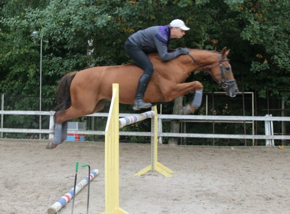 ���������� ��������, ���� ������� ����, 37 ���, ������������ ��� ������, ����� � ���������, c�������� ���������