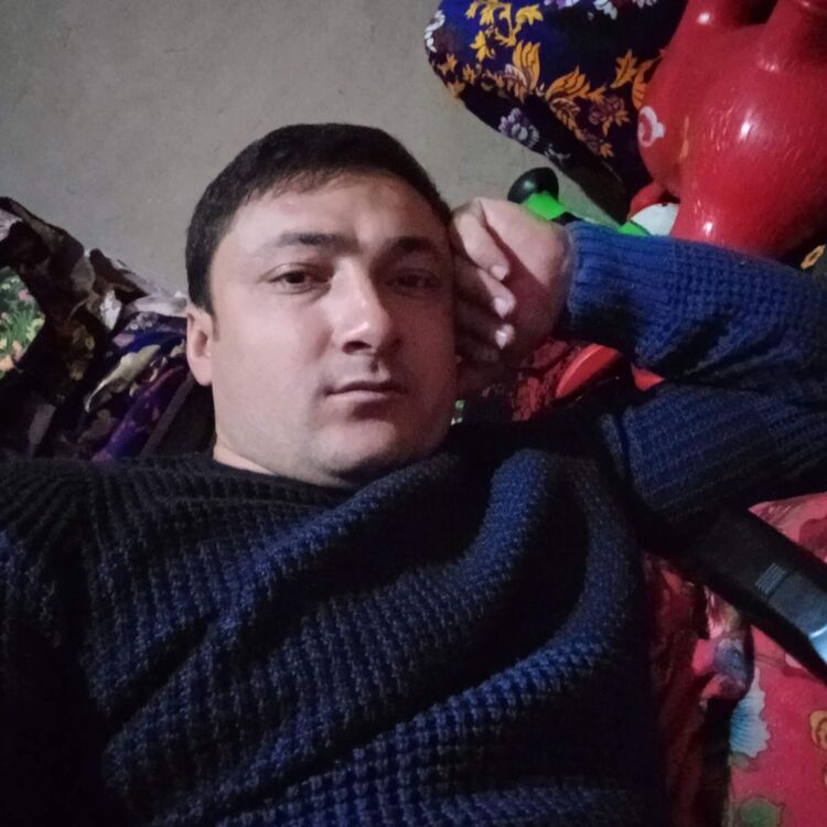 ���� 23361092 ������� ����, 33 ����, ���� ���������� � ������