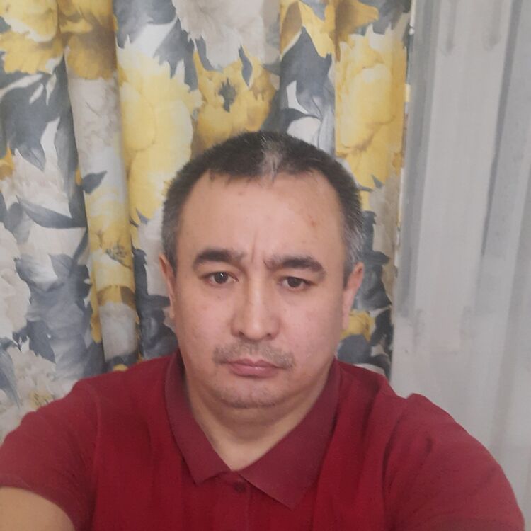  35696012  , 43 ,    