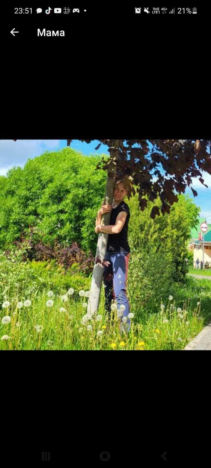 ���������� ������, ���� ������� ���, 38 ���, ������������ ��� ������, ����� � ���������