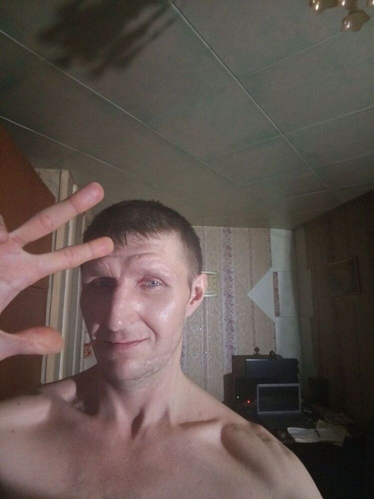  48575832  , 41 ,    -