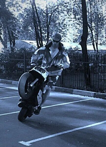  28739992  Maks, 34 ,    