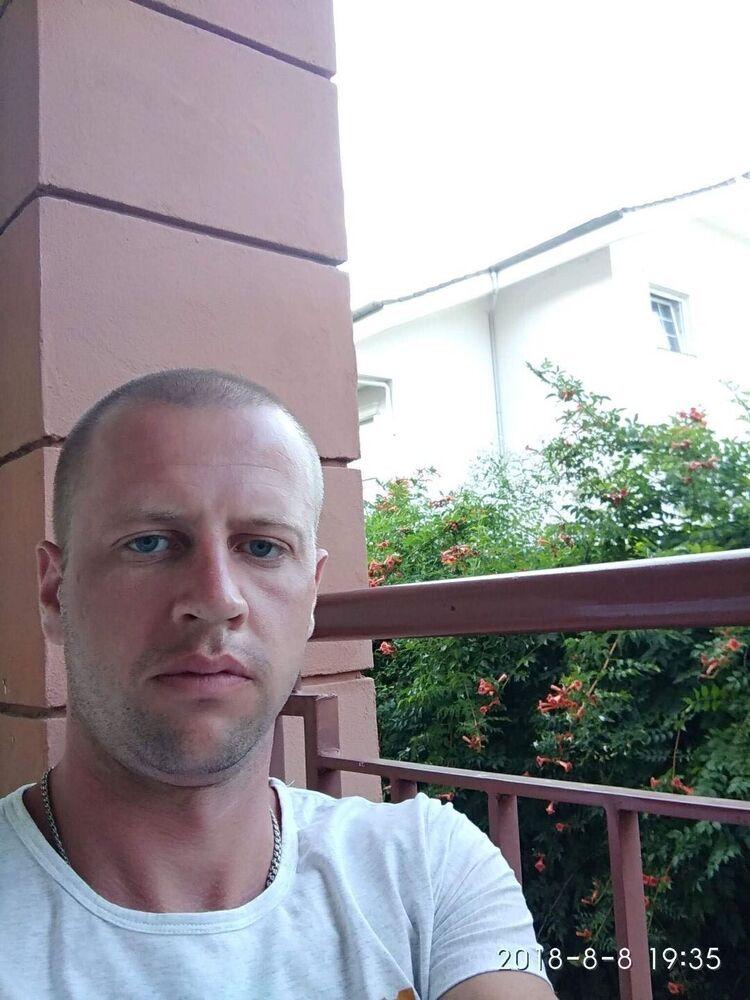 ���� 46441782 ������� �������, 40 ���, ���� ���������� � ������