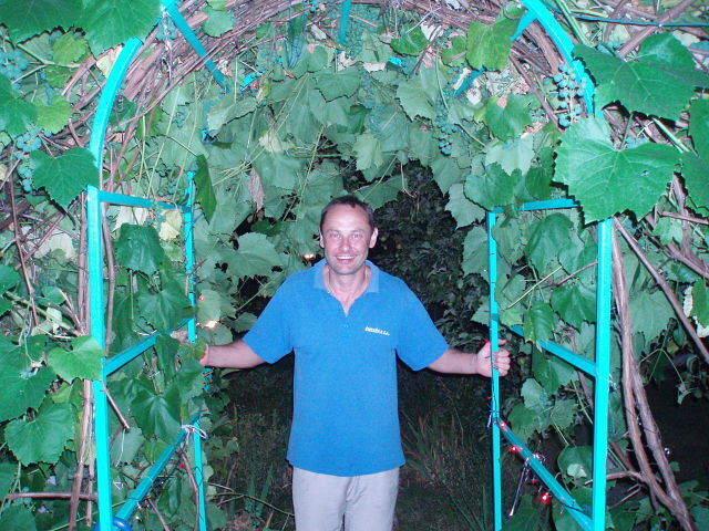 ���� 29268662 ������� �������, 57 ���, ���� ���������� � ������