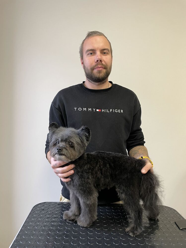 ���� 54013742 ������� �������, 30 ���, ���� ���������� � �����-����������