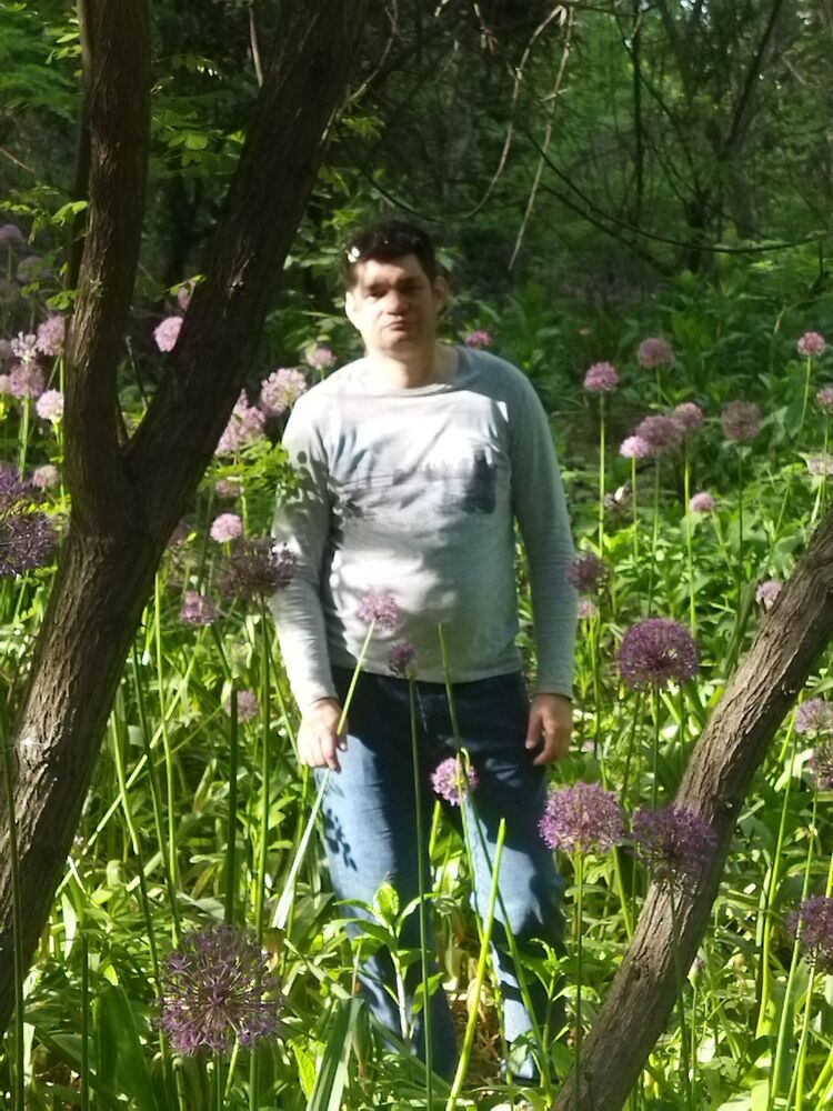 ���������� �������, ���� ������� �������, 41 ���, ������������ ��� ������, ����� � ���������, c�������� ���������, ���������