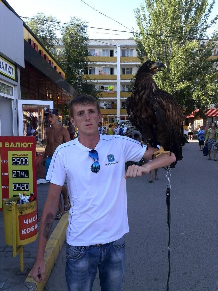 ���������� ������, ���� ������� �������, 31 ���, ������������ ��� ������, ����� � ���������, c�������� ���������