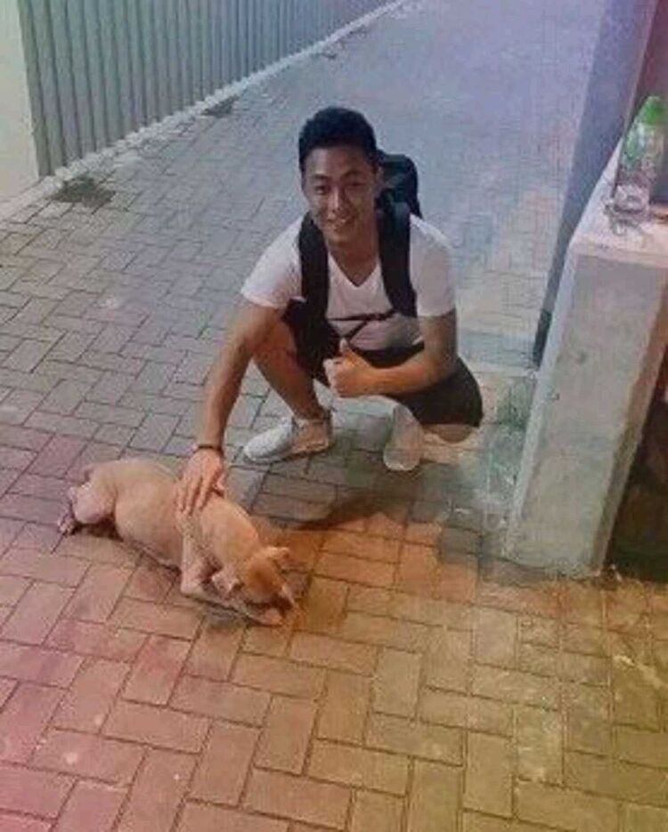 ���� 17163242 ������� Quynh, 35 ���, ���� ���������� � ������