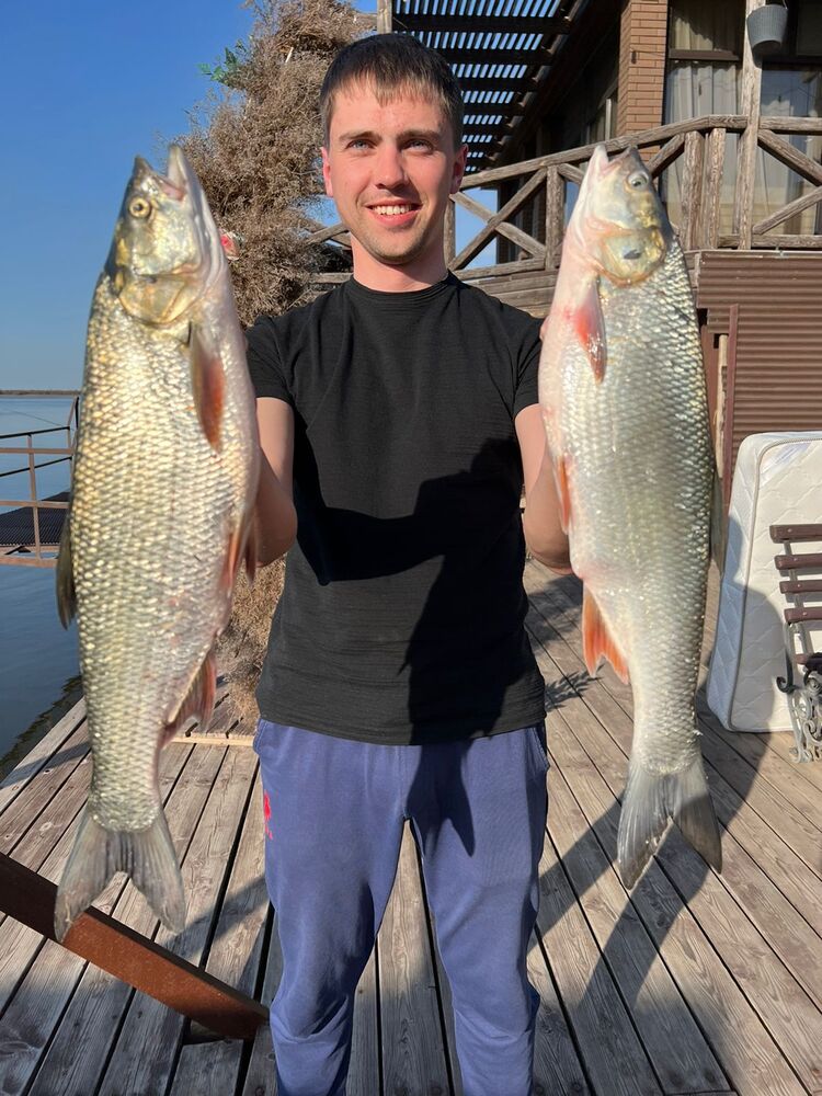 ���� 41206882 ������� ����, 43 ����, ���� ���������� � �����-����������