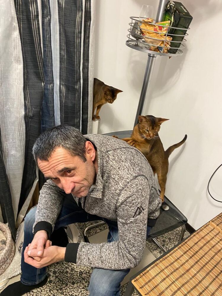 ���� 41471992 ������� ������, 48 ���, ���� ���������� � �����-����������