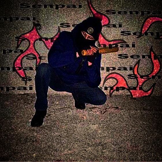 ���� 39252392 ����� Pplofigist, 24 ����, ���� ���������� � �����