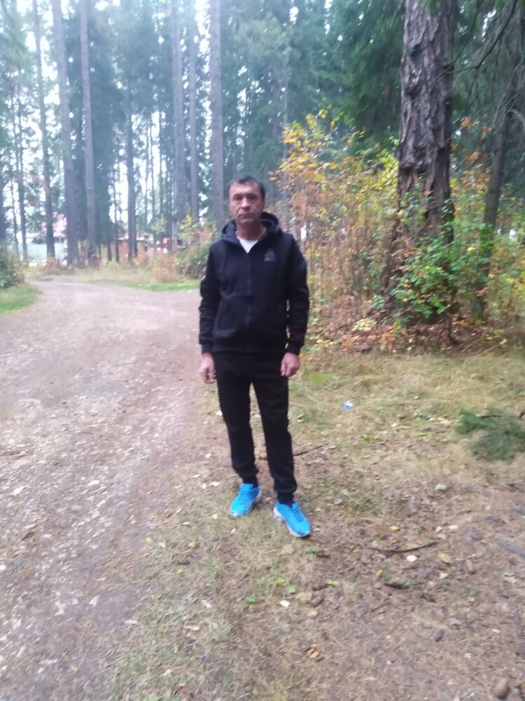 ���� 53194042 ������� ����, 56 ���, ���� ���������� � �������������