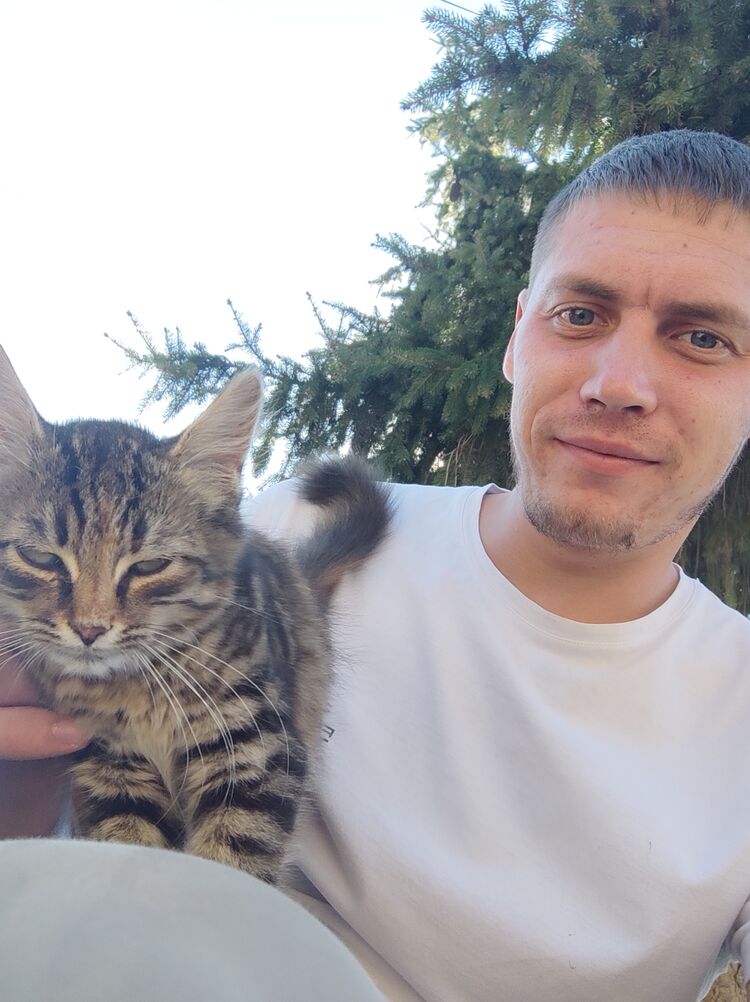 ���������� ������, ���� ������� ������, 29 ���, ������������ ��� c�������� ���������, ���������