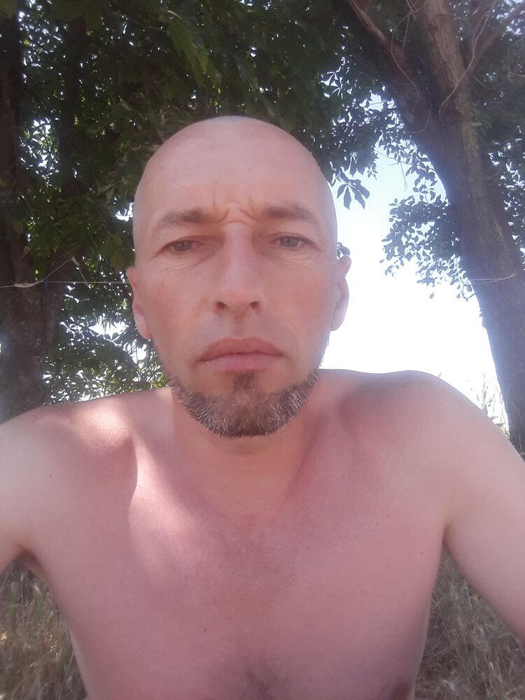  35997732  , 41 ,    