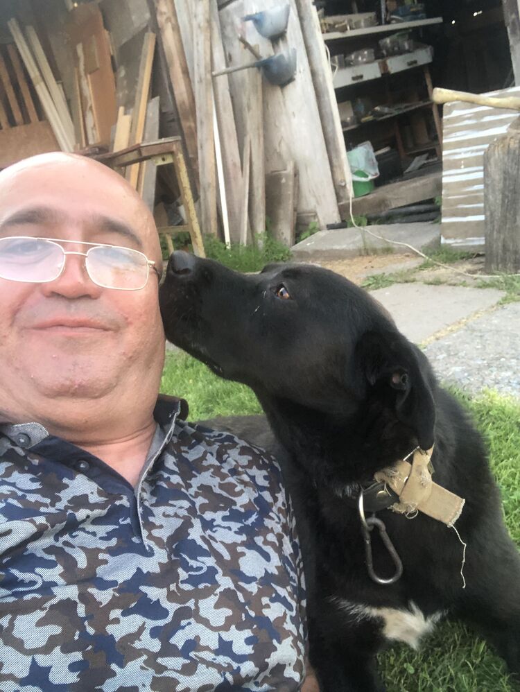  -,   , 52 ,   ,   