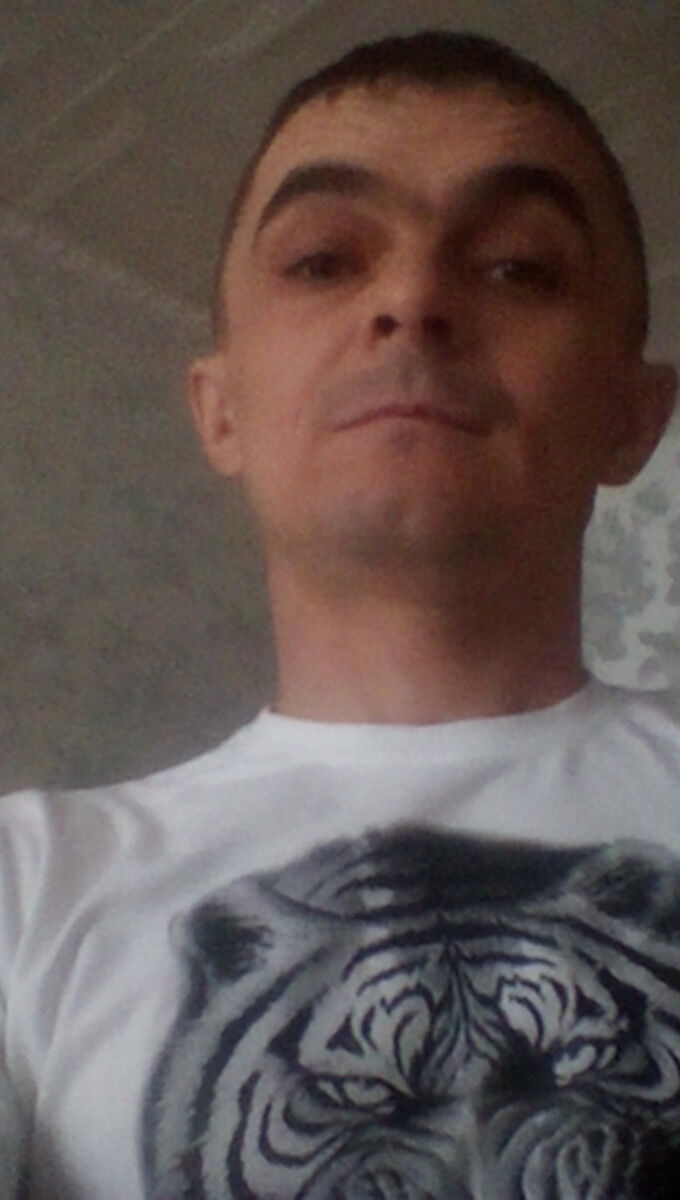  15729922  , 43 ,    