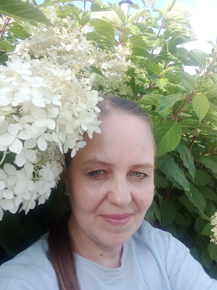 ���� 53462422 ������� �������, 43 ����, ���� ���������� � �����������