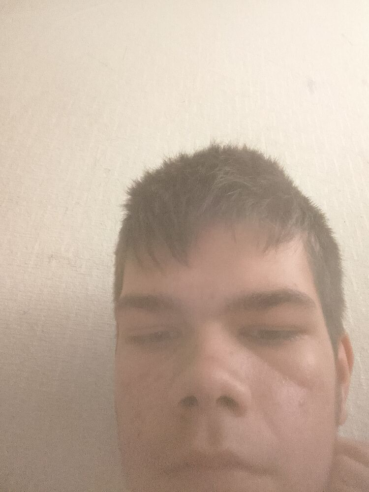  51785412  , 20 ,    