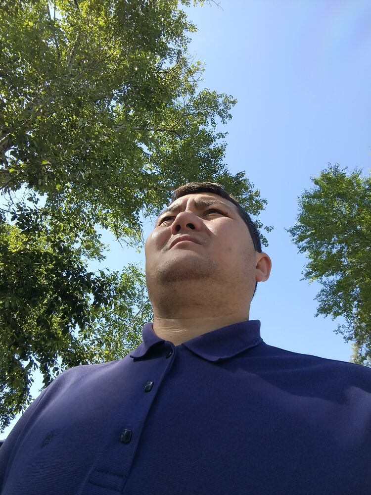 ���� 55395592 ������� �������, 36 ���, ���� ���������� � ���������