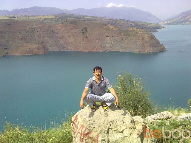 ���������� �������, ���� ������� Sardor, 39 ���, ������������ ��� ������, ����� � ���������, c�������� ���������, ���������