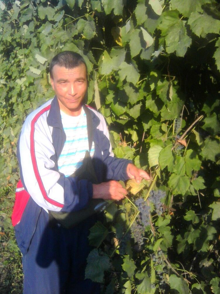 ���������� ������, ���� ������� �����, 54 ����, ������������ ��� ������, ����� � ���������, c�������� ���������, ���������