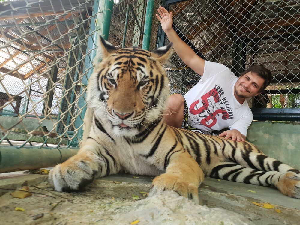 ���������� �����������, ���� ������� ������, 34 ����, ������������ ��� ������, ����� � ���������