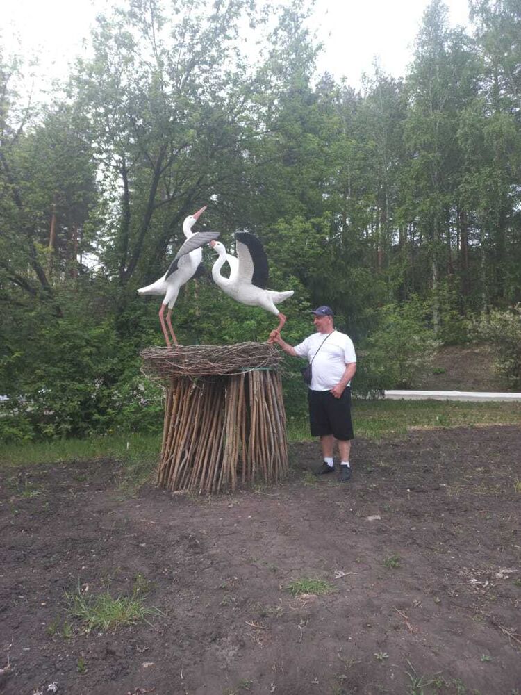  36827992  , 45 ,    