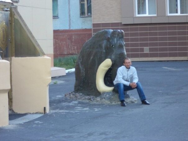 ���������� ����������, ���� ������� �����, 40 ���, ������������ ��� ������, ����� � ���������, c�������� ���������