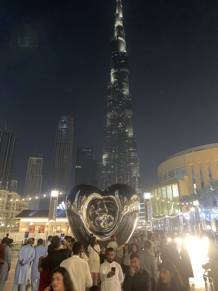  44026112  , 33 ,    