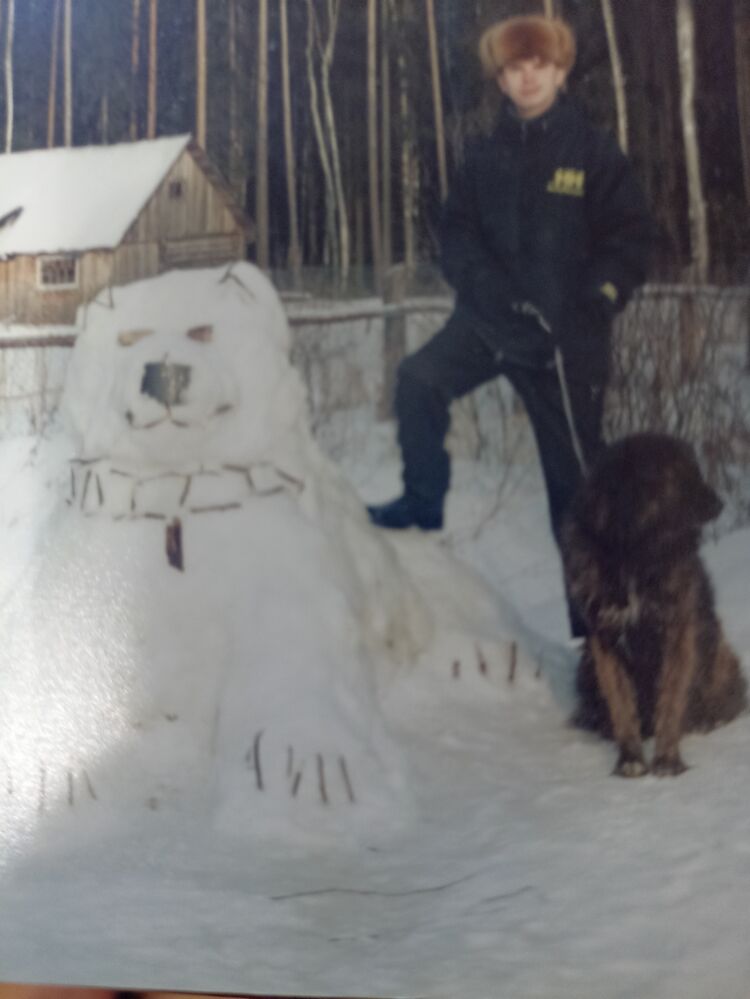 ���������� ���������, ���� ������� �������, 38 ���, ������������ ��� c�������� ���������