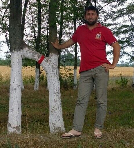  ,   , 44 ,  