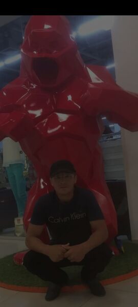 ,   , 44 ,   ,   