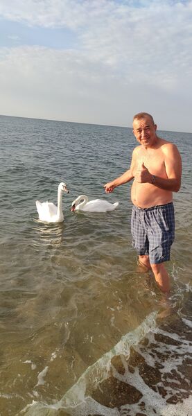 ,   , 55 ,   ,   , 