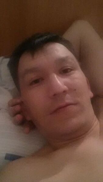  ,   Musa, 40 ,   ,   , c 