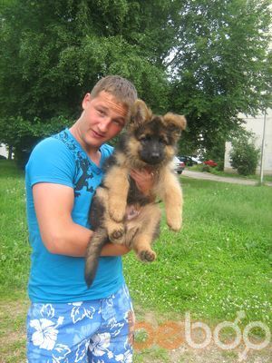  3154972  VLADIK, 43 ,    